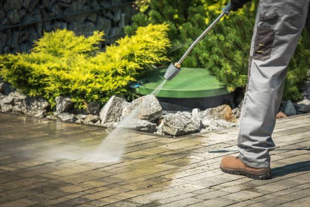Best Winterizing Services  in Cooper, TX